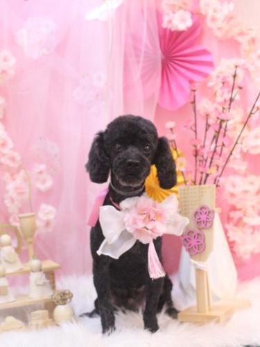 20250312マハロくん